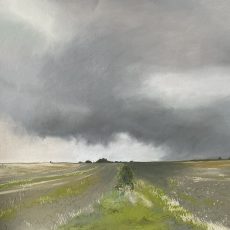 Pluviophile
