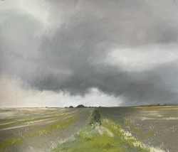 (Available) Pluviophile