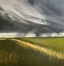 (Available) Wimpole way rain