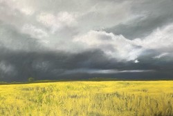 (Sold to a private collector) Fields of yellow