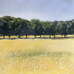 (Sold to private collector)