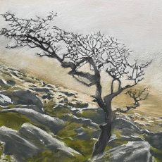 The peaks